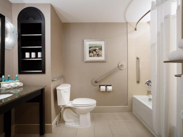 Holiday Inn Express Hotel & Suites Ottawa West-Nepean, an IHG Hotel : photo 2 de la chambre chambre standard