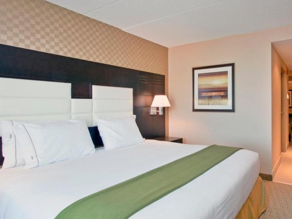 Holiday Inn Express Hotel & Suites Ottawa West-Nepean, an IHG Hotel : photo 1 de la chambre suite lit king-size