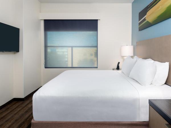 Hyatt House Tampa Airport/Westshore : photo 5 de la chambre suite 1 chambre lit king-size avec canapé-lit et cuisine