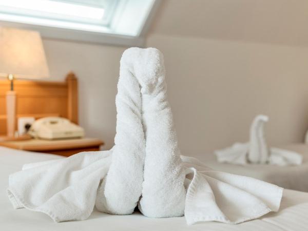 Hotel Bryghia : photo 2 de la chambre chambre familiale