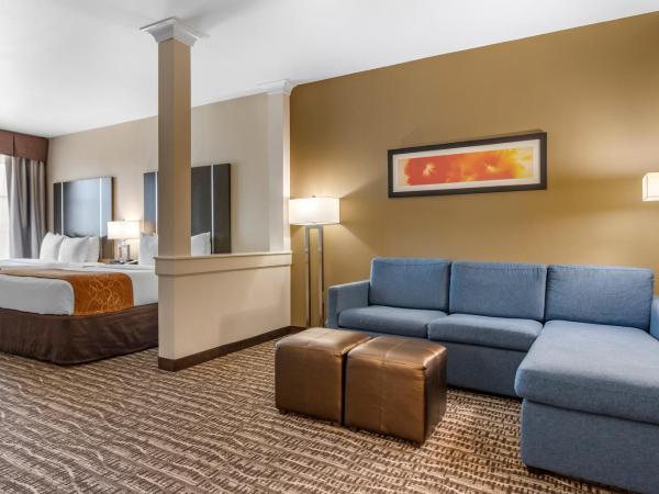Comfort Suites Near Sam Houston Race Park : photo 7 de la chambre suite avec 2 lits queen-size - non-fumeurs
