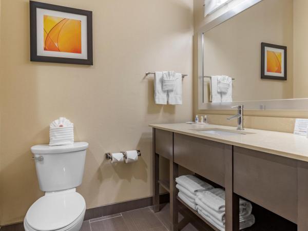 Comfort Suites Northwest Houston At Beltway 8 : photo 10 de la chambre suite lit king-size – non-fumeurs