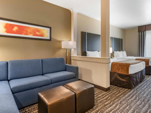 Comfort Suites Northwest Houston At Beltway 8 : photo 9 de la chambre suite avec 2 lits queen-size - non-fumeurs