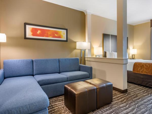 Comfort Suites Northwest Houston At Beltway 8 : photo 7 de la chambre suite lit king-size – non-fumeurs