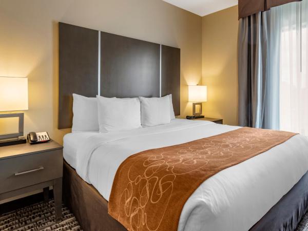 Comfort Suites Northwest Houston At Beltway 8 : photo 2 de la chambre suite lit king-size – non-fumeurs