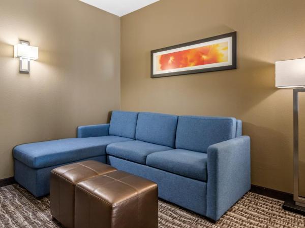 Comfort Suites Northwest Houston At Beltway 8 : photo 8 de la chambre suite lit king-size – non-fumeurs