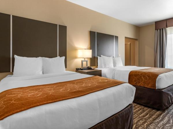 Comfort Suites Near Sam Houston Race Park : photo 3 de la chambre suite avec 2 lits queen-size - non-fumeurs