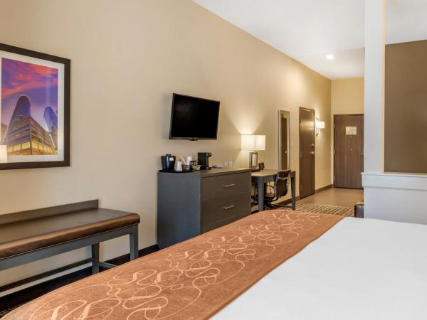 Comfort Suites Northwest Houston At Beltway 8 : photo 3 de la chambre suite avec lit king-size pour personnes à mobilité réduite - non-fumeurs