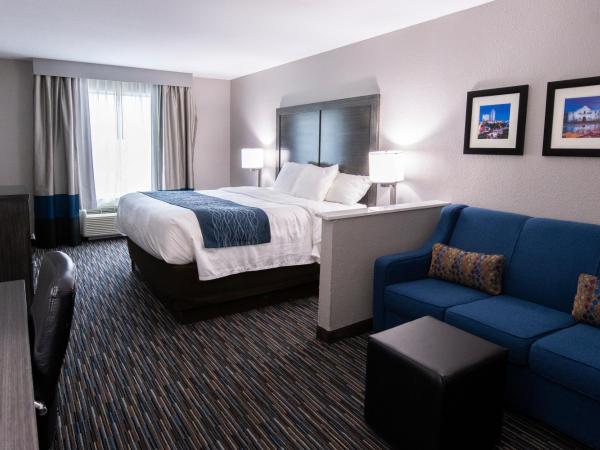 Comfort Inn & Suites Near Medical Center : photo 7 de la chambre suite lit king-size – non-fumeurs