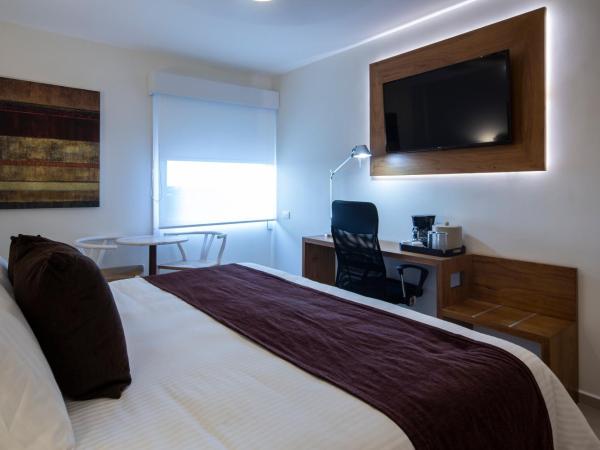 Mision Express Merida Altabrisa : photo 3 de la chambre chambre double