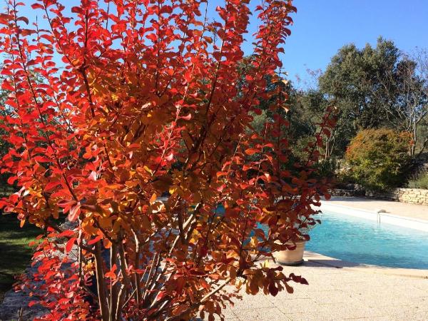 Le Verger : photo 9 de la chambre suite - vue sur jardin