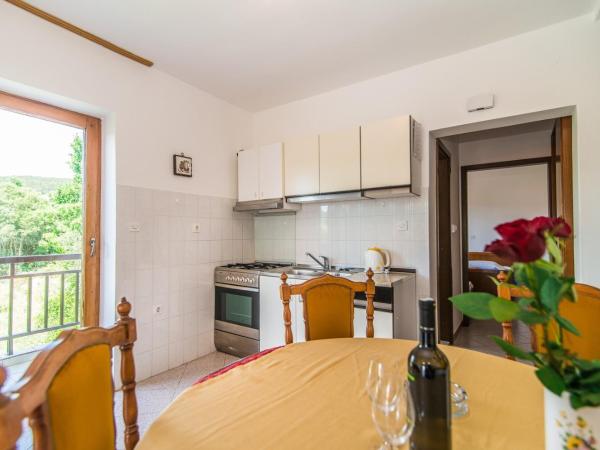 Apartments Pino Rabac : photo 6 de la chambre appartement