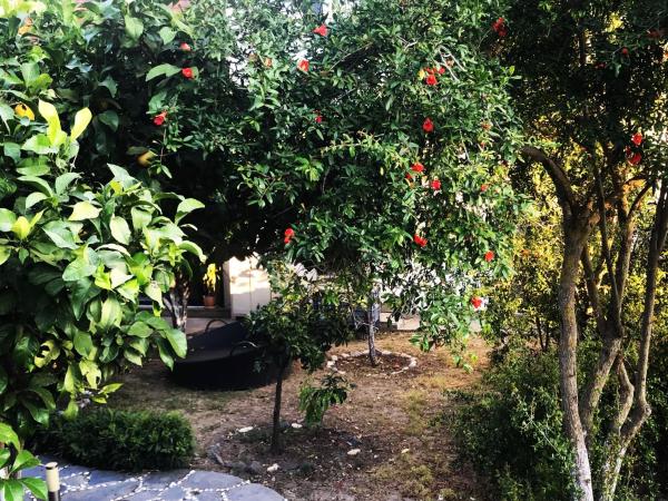 Villa No 5 : photo 6 de la chambre chambre double deluxe