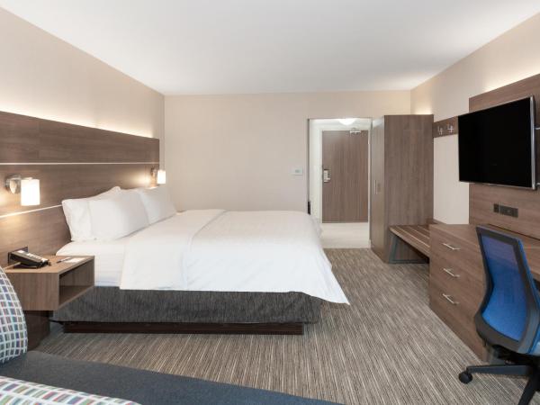Holiday Inn Express & Suites Downtown Ottawa East, an IHG Hotel : photo 2 de la chambre chambre lit king-size standard