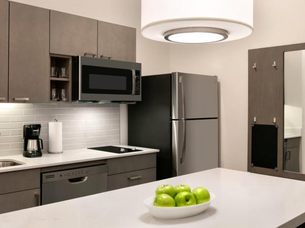 Hyatt House Atlanta Perimeter Center : photo 4 de la chambre suite 1 chambre lit king-size avec canapé-lit et cuisine