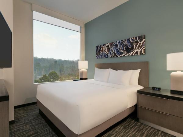 Hyatt House Atlanta Perimeter Center : photo 1 de la chambre king studio suite with kitchen and sofa bed