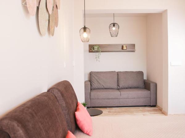 Balkon Apartmanház Panzió : photo 1 de la chambre appartement avec terrasse