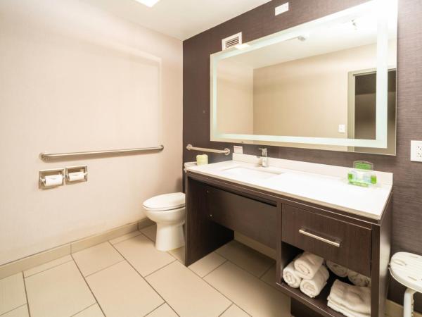 Holiday Inn Louisville East - Hurstbourne, an IHG Hotel : photo 2 de la chambre chambre lit king-size - accessible aux personnes à mobilité réduite