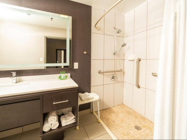 Holiday Inn Louisville East - Hurstbourne, an IHG Hotel : photo 1 de la chambre chambre lit king-size - accessible aux personnes à mobilité réduite