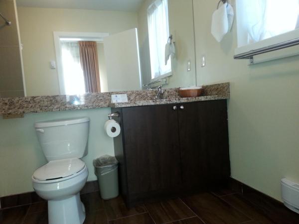 Barclay Hotel : photo 4 de la chambre suite 1 chambre avec canapé-lit