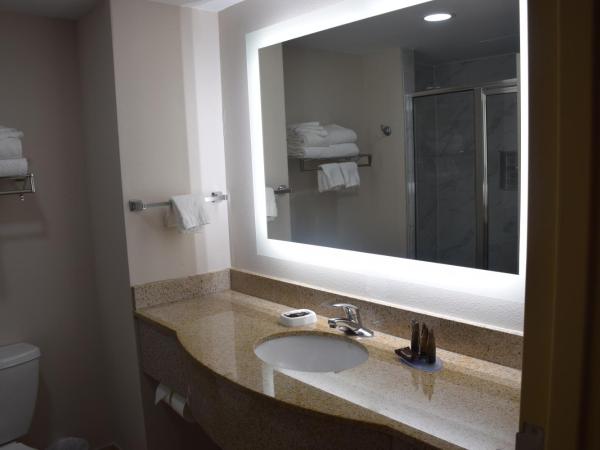 Wingate by Wyndham Baltimore BWI Airport : photo 4 de la chambre chambre 2 lits queen-size - non-fumeurs