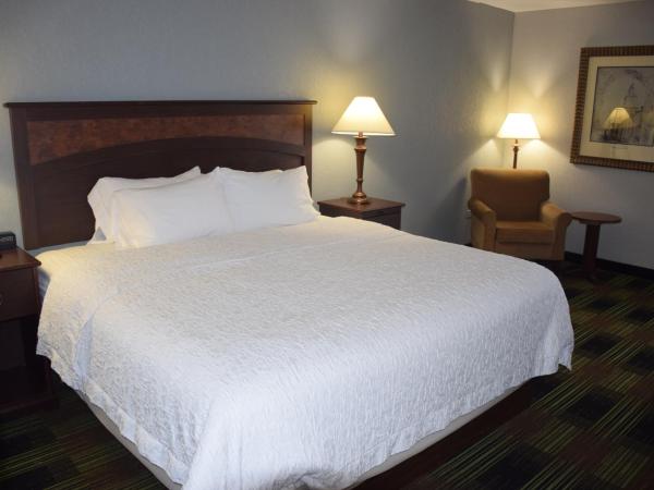 Wingate by Wyndham Baltimore BWI Airport : photo 4 de la chambre chambre lit king-size supérieure - non-fumeurs