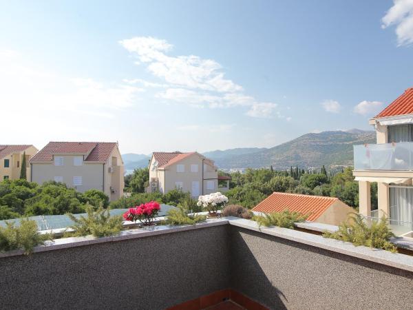 Villa Antea Apartments : photo 8 de la chambre studio double deluxe avec terrasse 