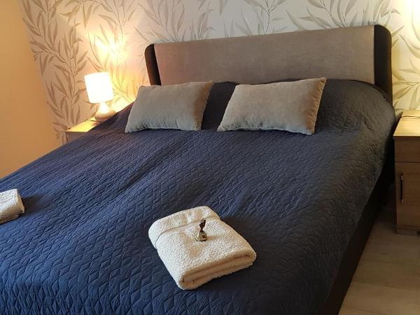 Rózsa Apartmanház : photo 3 de la chambre appartement avec douche