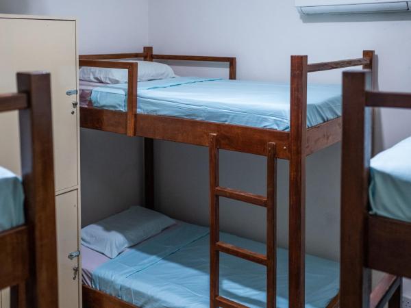 Step-in Lodge : photo 8 de la chambre lit dans dortoir 6 lits