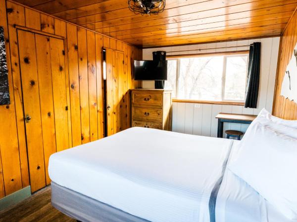 Garden of the Gods RV Resort : photo 7 de la chambre studio (2 adultes)