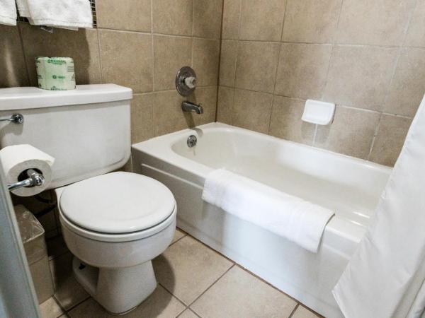 Garden of the Gods RV Resort : photo 10 de la chambre suite 1 chambre