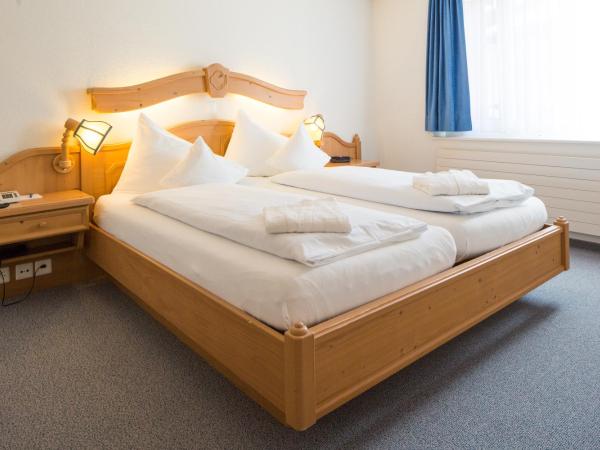 Hotel Grindelwalderhof : photo 1 de la chambre appartement « wetterhorn ou jungfrau »