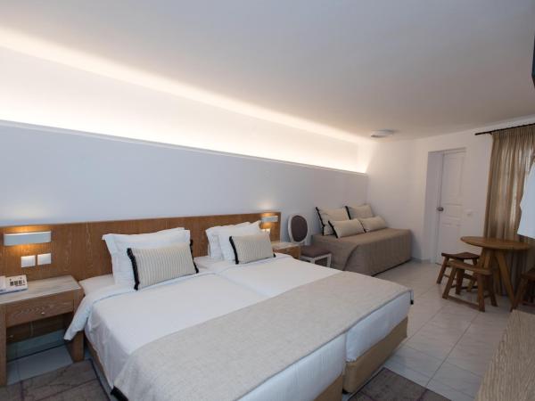 Island Mykonos Suites : photo 2 de la chambre studio (3 adultes)
