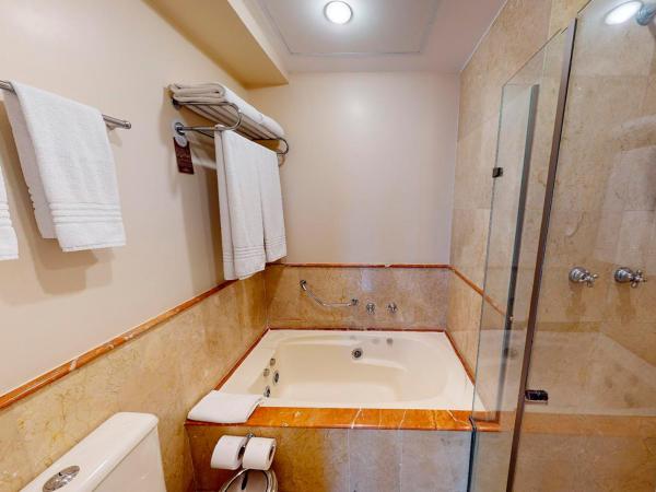 Gran Estanplaza Berrini : photo 2 de la chambre suite lit queen-size avec baignoire spa