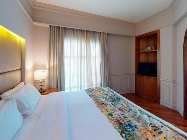 Gran Estanplaza Berrini : photo 2 de la chambre chambre lit queen-size avec balcon