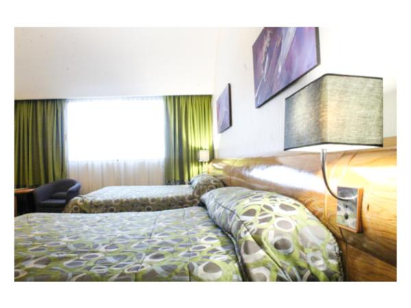 Hotel Mandarin Carton : photo 2 de la chambre chambre lits jumeaux