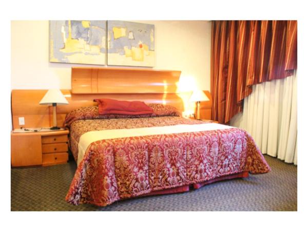 Hotel Mandarin Carton : photo 1 de la chambre suite présidentielle