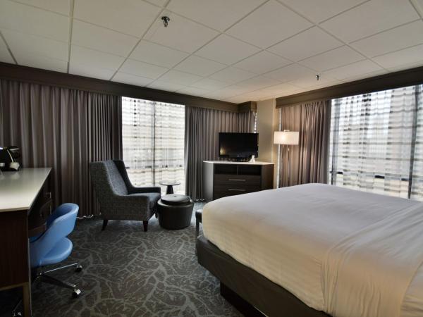 Holiday Inn - Memphis Downtown - Beale St., an IHG Hotel : photo 4 de la chambre chambre king standard avec vue sur ville