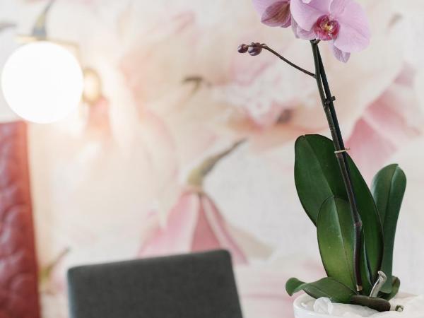 Hotel Giulietta e Romeo ***S : photo 7 de la chambre suite avec terrasse