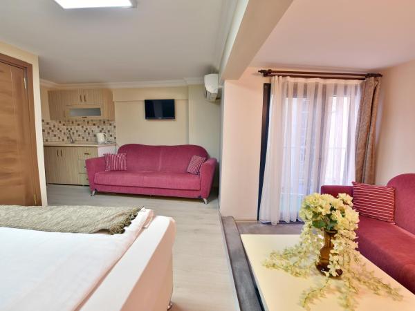 Oban Suites Istanbul : photo 4 de la chambre chambre deluxe double ou lits jumeaux