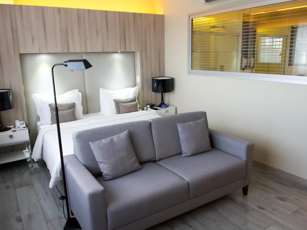 Radisson Blu Belo Horizonte Savassi : photo 8 de la chambre chambre double deluxe