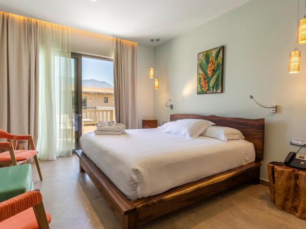 Elysian Luxury Hotel and Spa : photo 5 de la chambre chambre double ou lits jumeaux supérieure - vue sur jardin