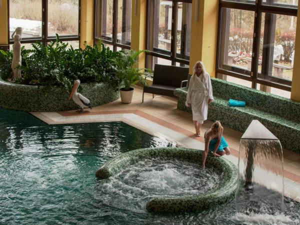 Chateau Monty Spa Resort : photo 9 de la chambre special offer - double room with health spa package