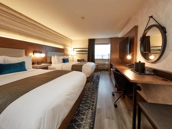 Stay Inn Hotel Toronto : photo 6 de la chambre chambre affaires avec 2 lits queen-size - entièrement rénovée en 2021