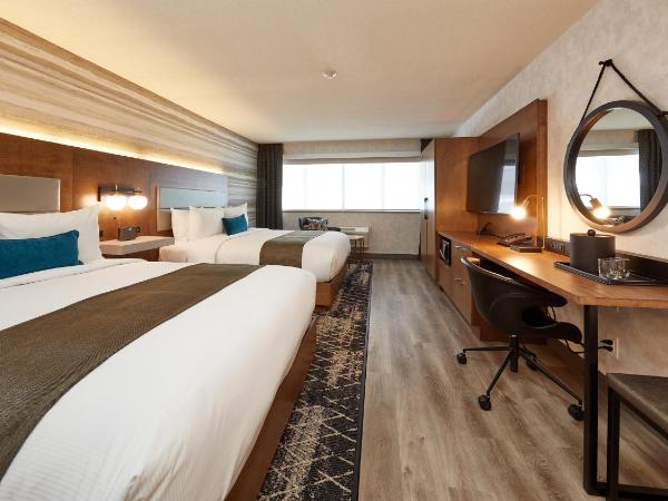 Stay Inn Hotel Toronto : photo 8 de la chambre chambre affaires avec 2 lits queen-size - entièrement rénovée en 2021