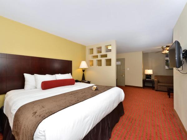 Quality Suites Nashville Airport : photo 4 de la chambre suite avec lit king-size pour personnes à mobilité réduite - non-fumeurs