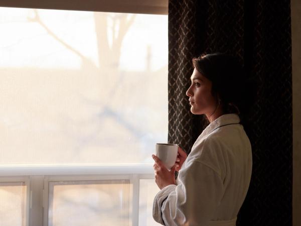 Stay Inn Hotel Toronto : photo 5 de la chambre chambre lit king-size affaires - entièrement rénovée en 2021