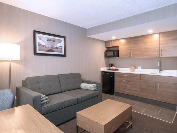 Sandman Signature Calgary Downtown Hotel : photo 5 de la chambre chambre standard avec 1 lit king-size, canapé-lit et kitchenette