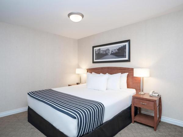 Sandman Hotel & Suites Calgary West : photo 1 de la chambre loft suite, 1 king bed, sofa bed, kitchenette