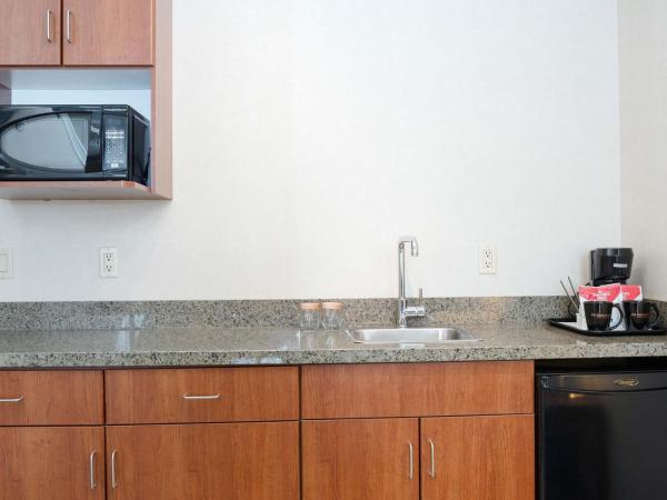 Sandman Hotel & Suites Calgary West : photo 5 de la chambre loft suite, 1 king bed, sofa bed, kitchenette